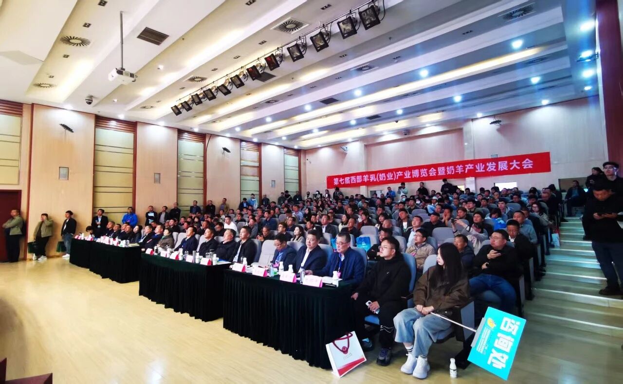会场.jpg